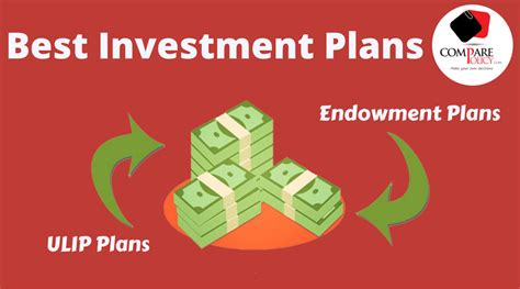 are wans a cheap investment